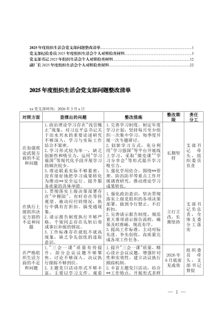 （六个方面）2025年度组织生活会党支部问题整改清单+党支部纪检委员2025年度组织生活会个人对照检查材料.docx