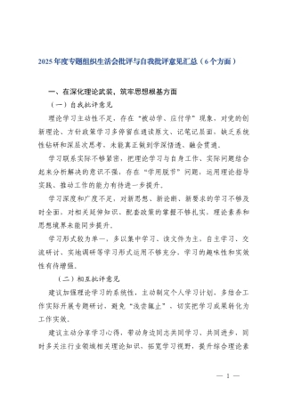 （在深化理论武装筑牢思想根基、提升政治能力把准履职方向、践行根本宗旨厚植为民情怀、坚持求真务实强化担当作为、严守纪律规矩永葆清廉本色、扛牢政治责任从严管党治党6个方面）2025年度专题组织生活会批评与自我批评意见汇总.docx