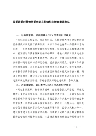 2025-2026年对其他常x和一把手 组织生活会批评意见.docx