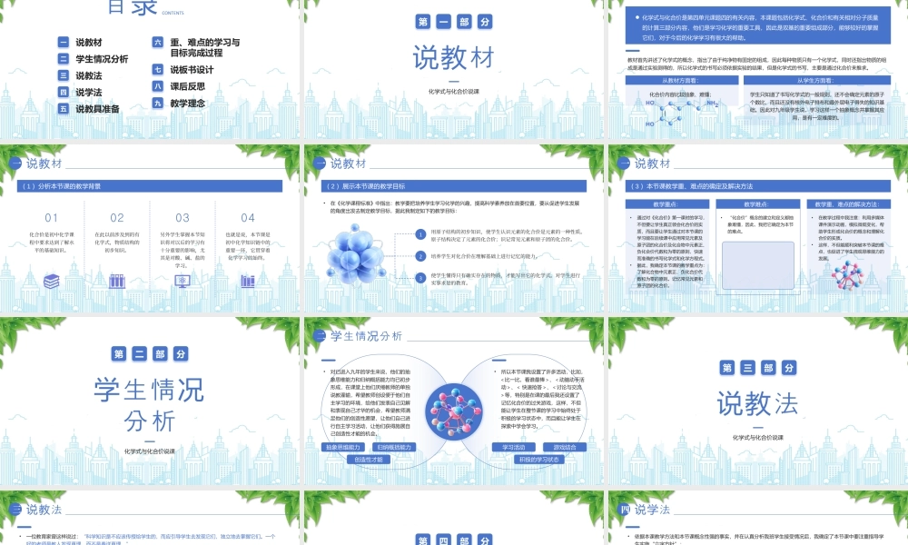 XX初中化学说课化学式与化合价说课.pptx