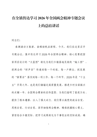 在传达学习2026年全国两会精神专题会议上的总结讲话两篇.docx