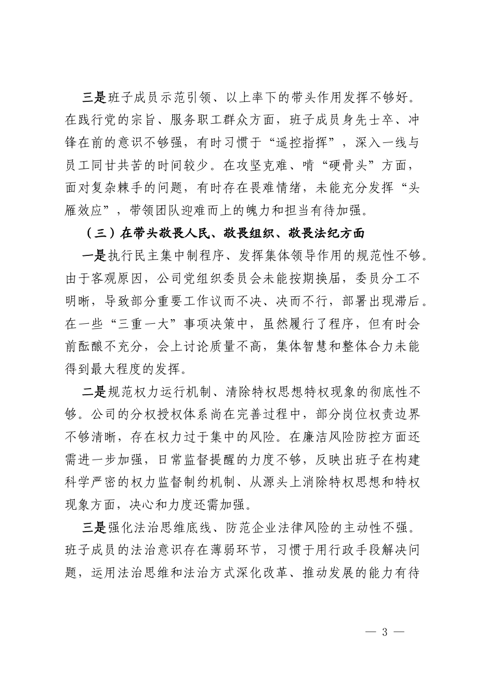 公司2025年度民主生活会领导班子对照检查材料.docx_第3页