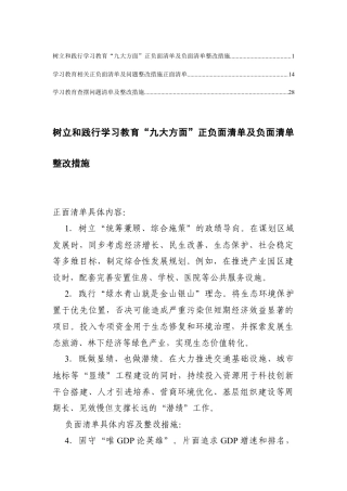 树立和践行学习教育“九大方面”正负面清单及负面清单整改措施+学习教育查摆问题清单及整改措施.docx