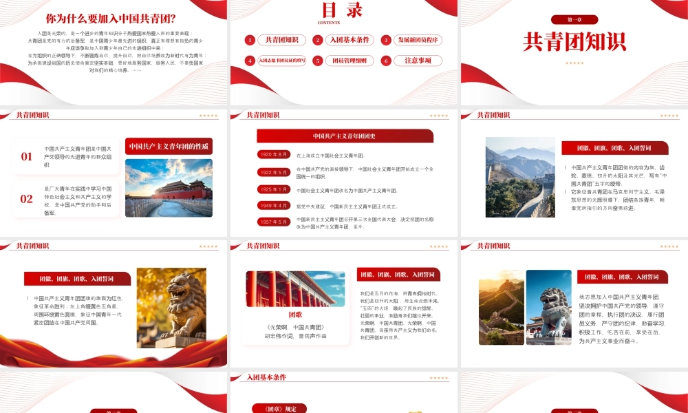 入团积极分子团课.pptx