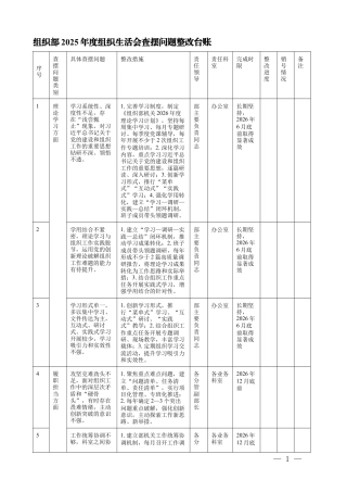 2025-2026年组织部2025年度组织生活会查摆问题整改台账.docx