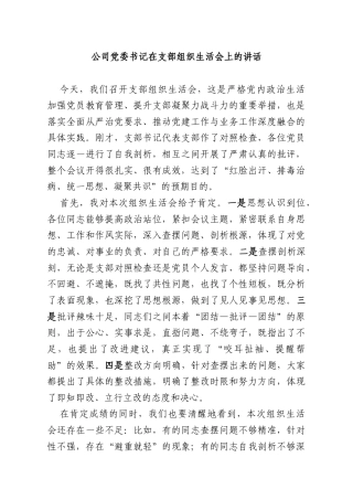 公司党委书记在支部组织生活会上的讲话.docx