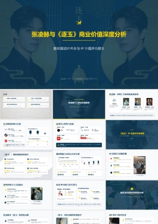 张凌赫与《逐玉》商业价值分析.pptx