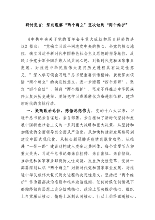 研讨发言：深刻理解“两个确立”坚决做到“两个维护”.docx