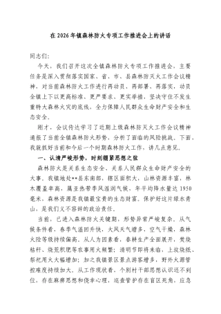 在2026年镇森林防火专项工作推进会上的讲话.docx