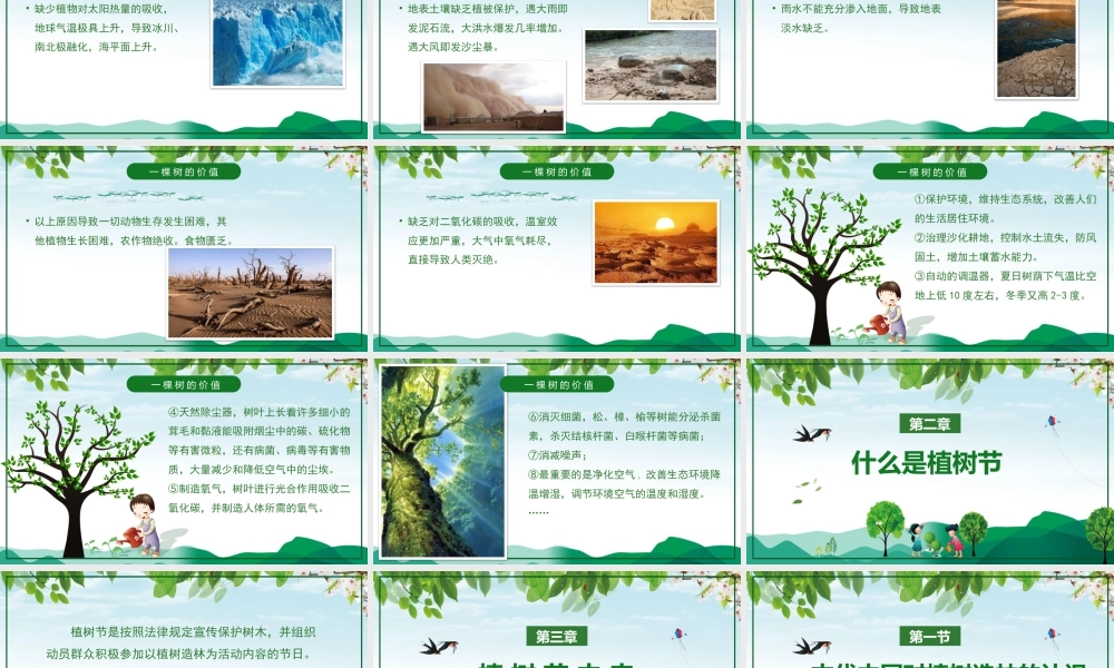 植树节主题班会.pptx