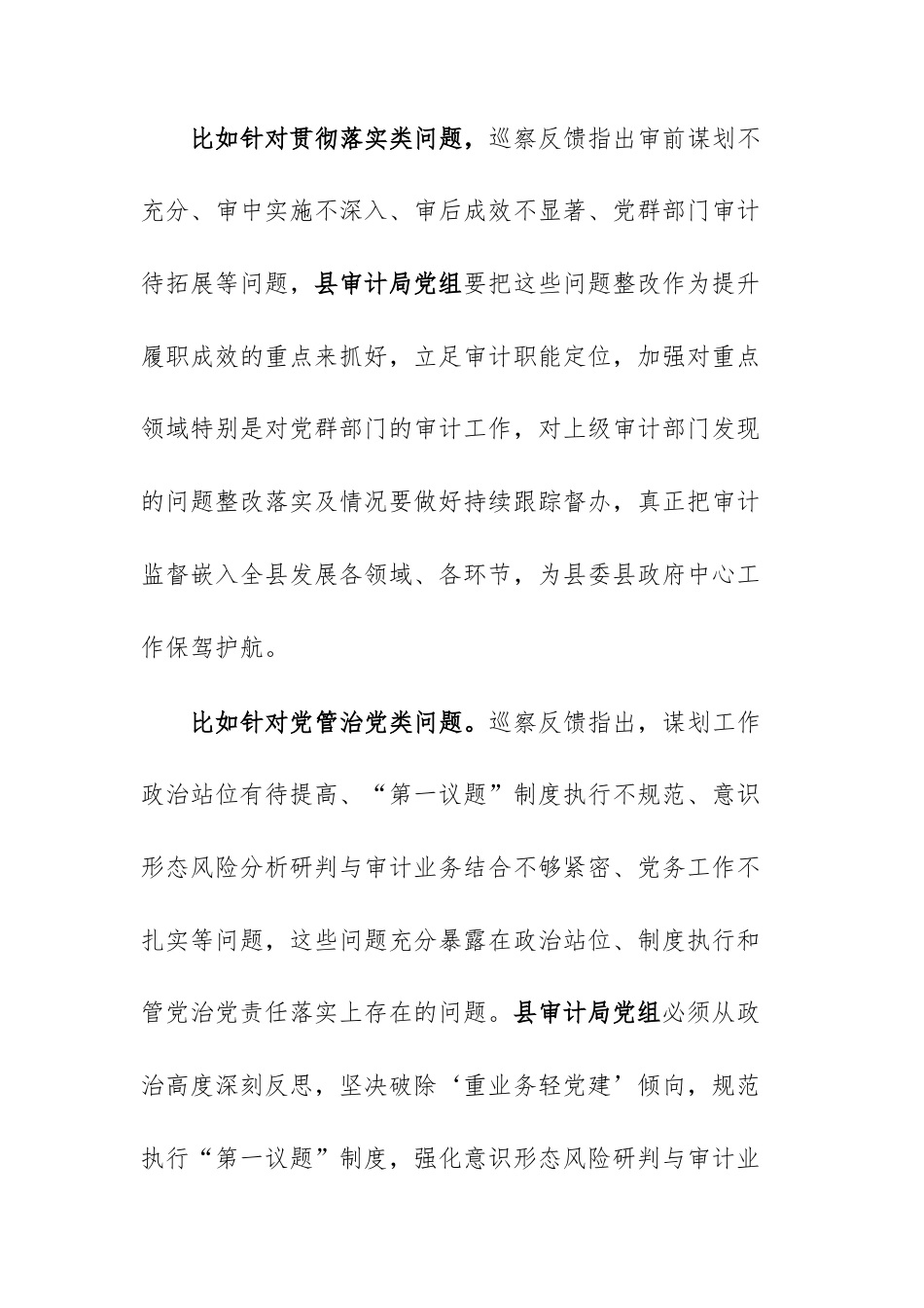 领导干部在2026年巡察组巡察审计机关党组情况反馈会上的讲话提纲范文.docx_第3页