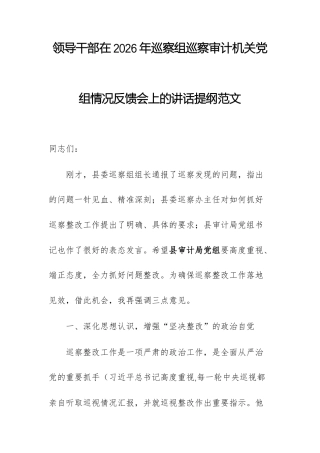 领导干部在2026年巡察组巡察审计机关党组情况反馈会上的讲话提纲范文.docx
