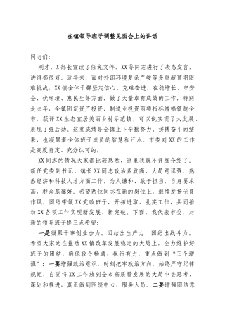 在镇领导班子调整见面会上的讲话.docx