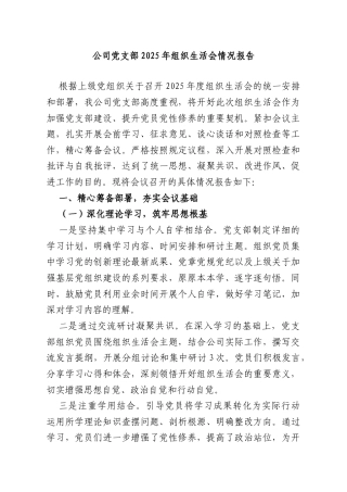 公司党支部2025年组织生活会情况报告.doc