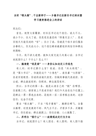 当好“领头雁”干出新样子——乡镇书记在新任书记培训暨学习教育推进会上的讲话.docx