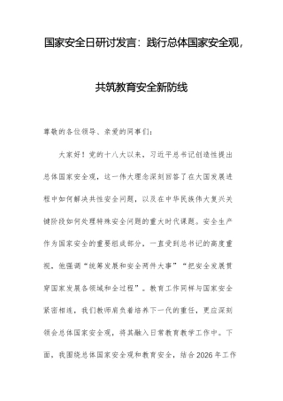 国家安全日研讨发言：践行总体国家安全观共筑教育安全新防线.docx