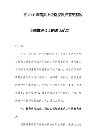 在2026年落实上级巡查反馈意见整改专题推进会上的讲话范文.docx