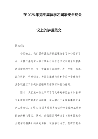 在2026年党组集体学习国家安全观会议上的讲话范文.docx