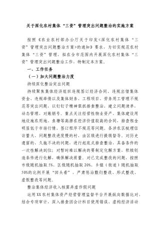 关于深化农村集体“三资”管理突出问题整治的实施方案.doc