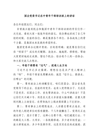国企党委书记在中青年干部培训班上的讲话.doc