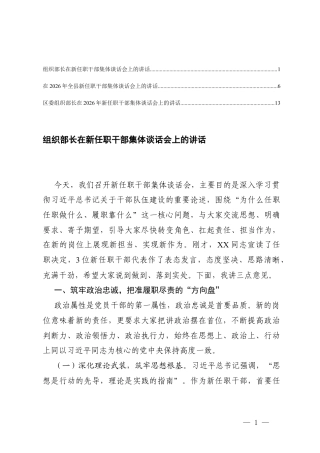 3篇 组织部长在2026年新任职干部集体谈话会上的讲话.docx