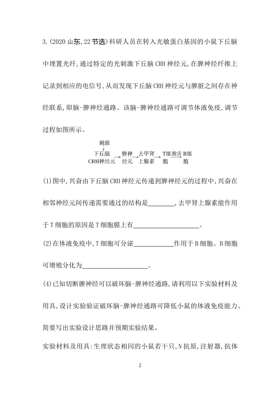 高中同步新教材选择性必修1人教生物综合拔高练 (4).docx_第2页