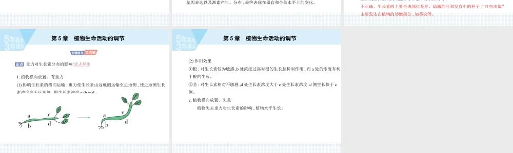 第4节　环境因素参与调节植物的生命活动.pptx