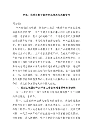 党课：优秀年轻干部的发现培养与选拔使用.docx