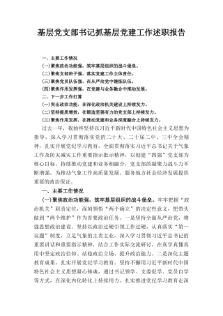 基层党支部书记抓基层党建 工作述职报告.docx
