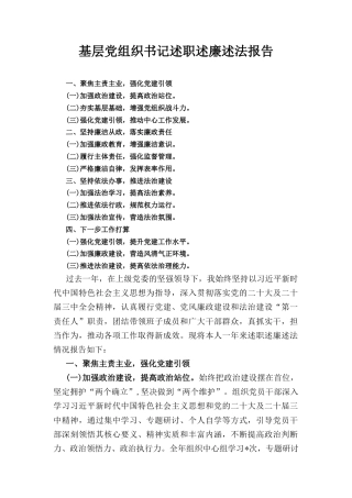 基层党组织书记述职述廉述法 报告.docx