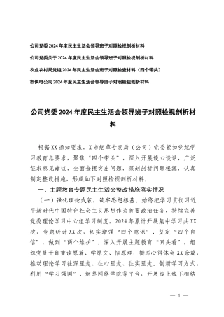 农业农村系统党组、公司党委、供电公司2024-2025年度民主生活会领导班子对照检视剖析材料.docx