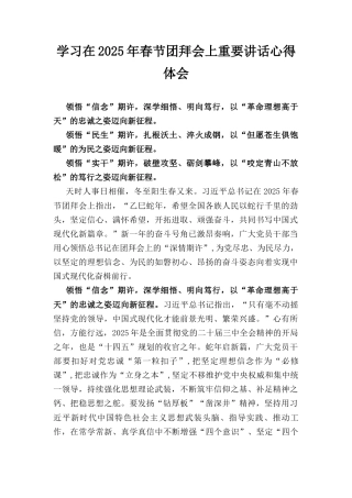 学习在（2025年）春节团拜会上重要讲话心得体会.docx