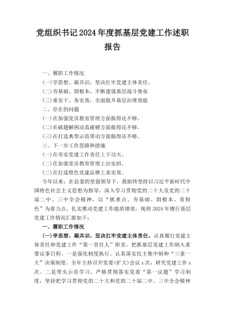 党组织书记（2024年）度抓基层党建工作述职报告.docx