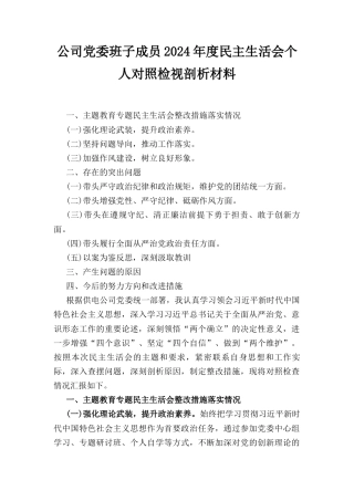 公司党委班子成员（2024年）度民主生活会个人对照检视剖析材料.docx