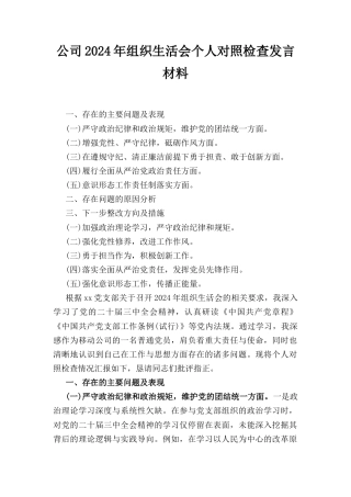 公司（2024年）组织生活会个人对照检查发言材料.docx