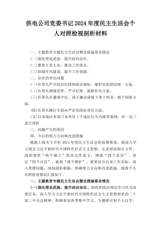 供电公司党委书记（2024年）度民主生活会个人对照检视剖析材料.docx