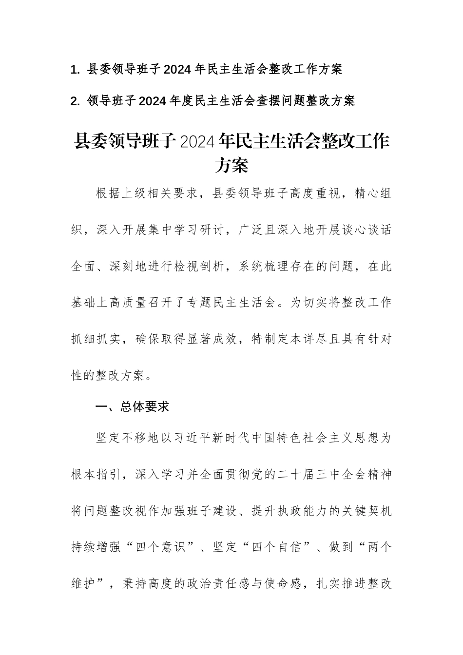 两篇：领导班子2024年度民主生活会查摆问题整改方案范文.docx_第1页