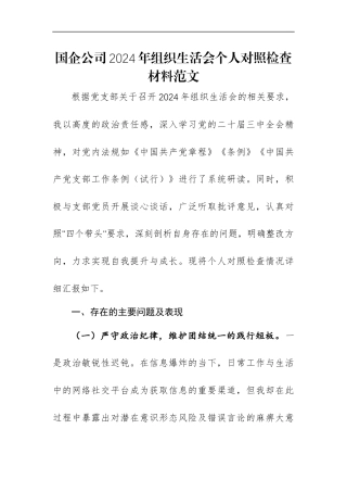 国企公司2024年组织生活会个人对照检查材料范文.docx