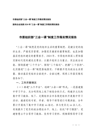 2025年国有企业党委、组织部“三会一课”制度工作落实情况情况报告.docx