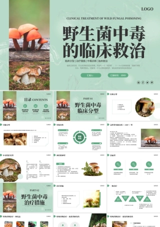 绿色野生蘑菇背景的野生菌中毒的临床救治.pptx