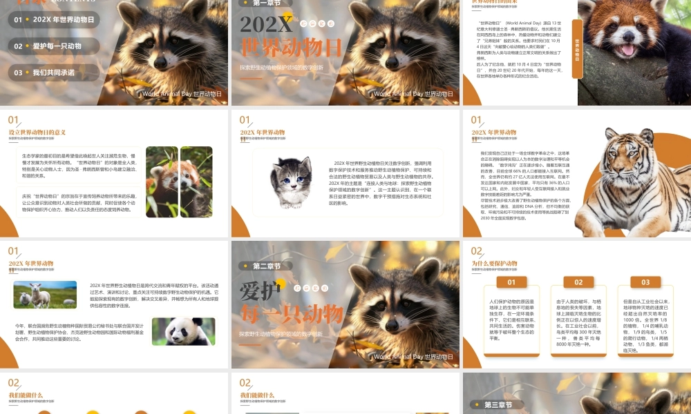 可爱浣熊背景的“连接人类与地球”世界动物日.pptx