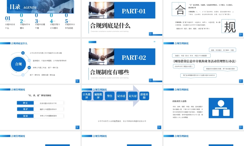 蓝色企业制度培训.pptx