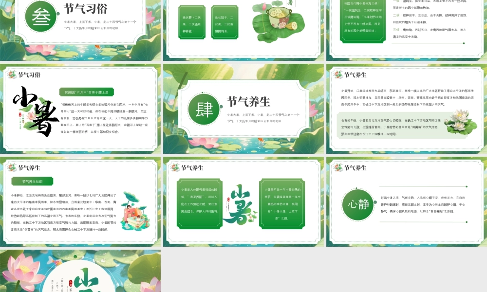 绿色画风小暑节气宣传介绍.pptx