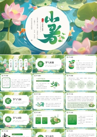 绿色画风小暑节气宣传介绍.pptx