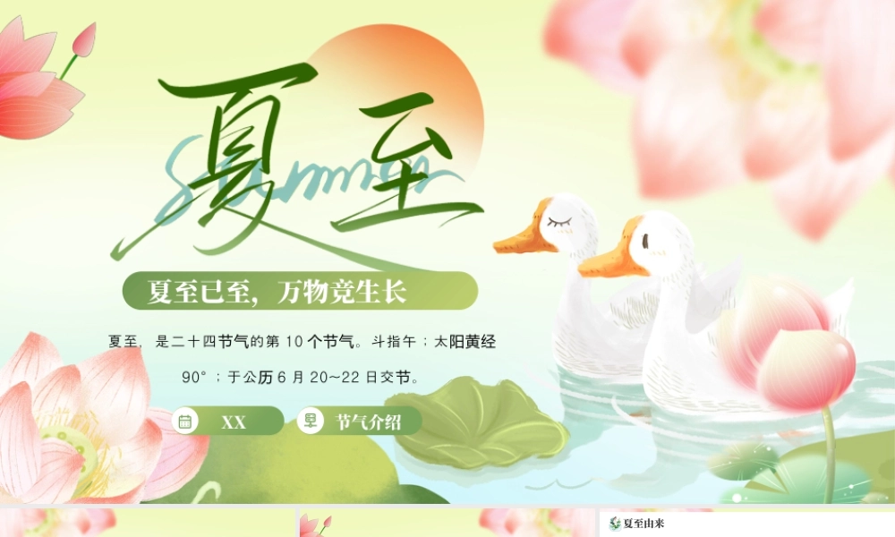 夏至已至节气介绍.pptx