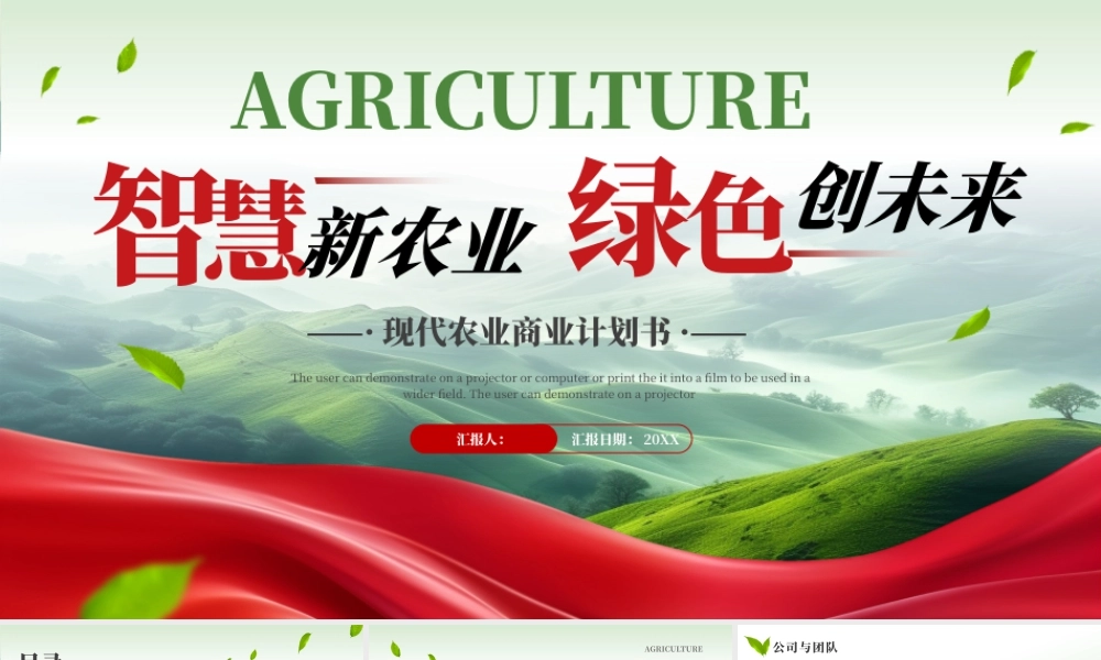 绿色红色大气现代农业商业计划书 .pptx