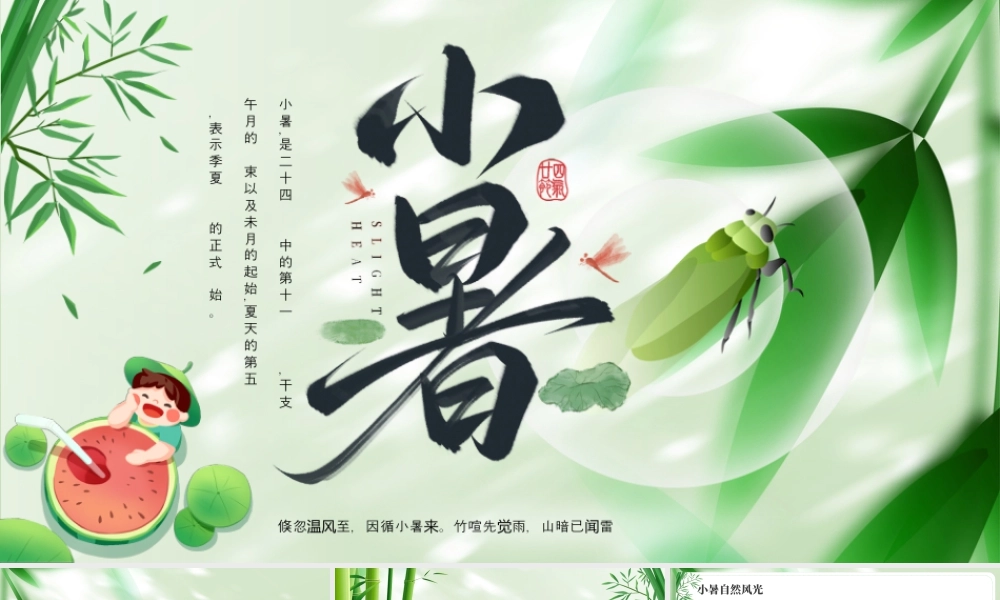 绿色小暑节气介绍.pptx