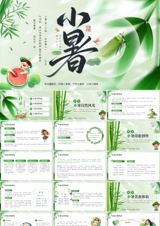 绿色小暑节气介绍.pptx