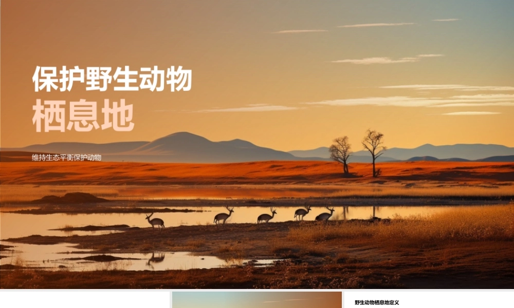 保护野生动物栖息地维系生态平衡.pptx