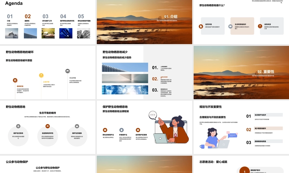 保护野生动物栖息地维系生态平衡.pptx
